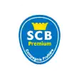 Client SCB logo