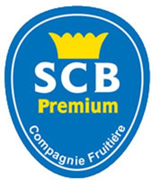 Client SCB logo